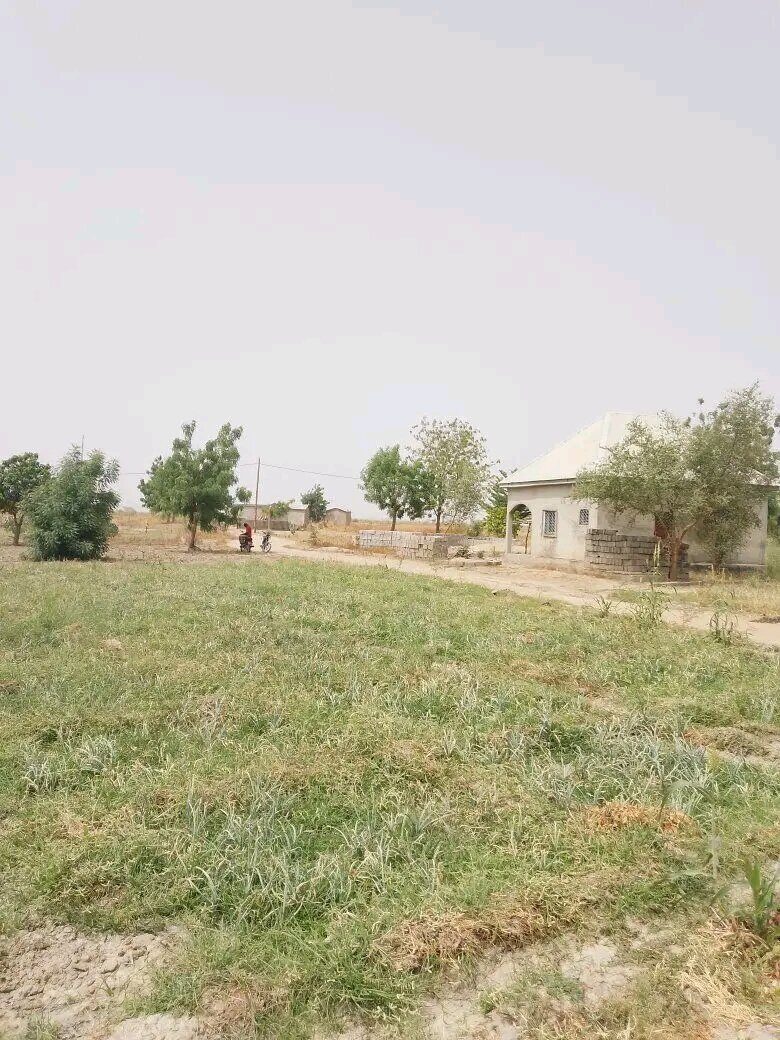 Évolution des prix des terrains à Maroua entre 2026 et 2031