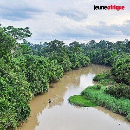 Le parc national de la Comoé, joyau naturel de Côte d'Ivoire